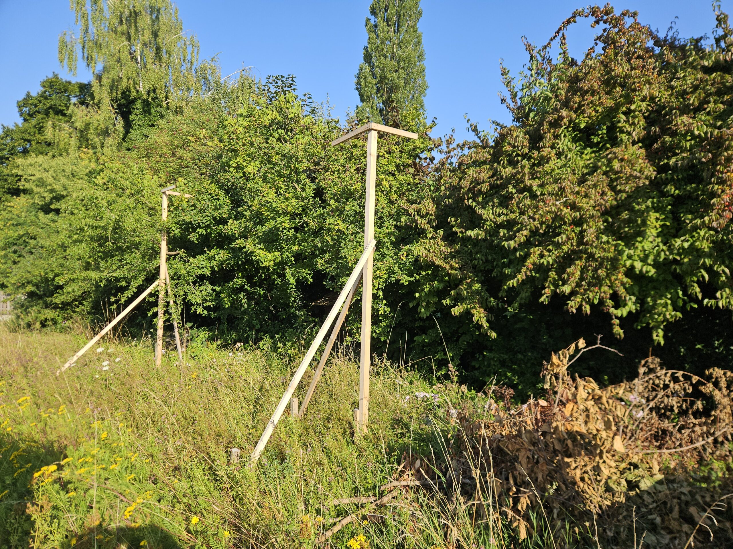 Die Kleinstrukturen werden kleiner